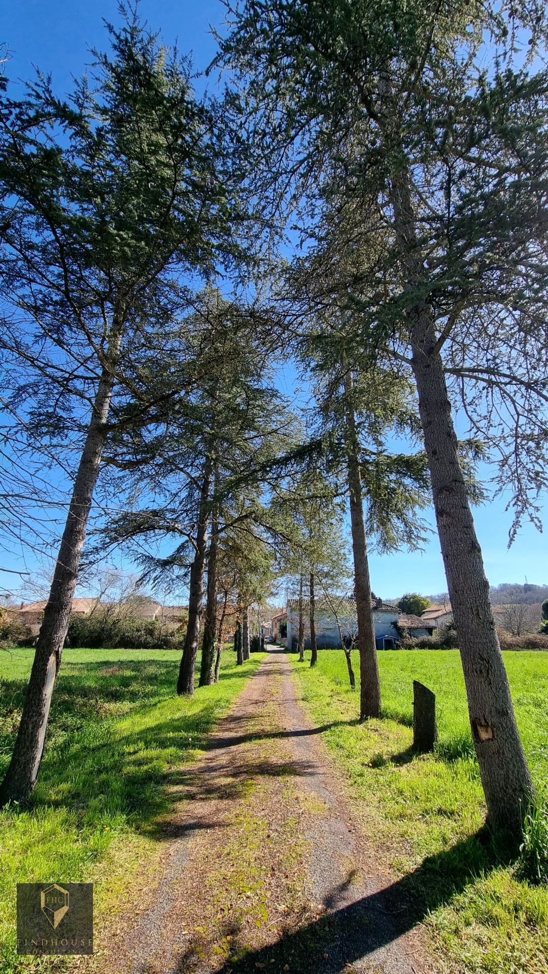 Vente Maison à l'Isle-en-Dodon 7 pièces