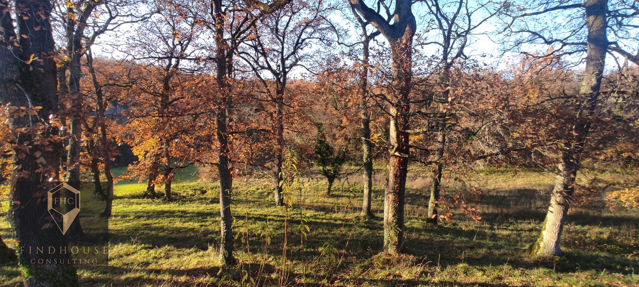 Vente Maison à Lombez 7 pièces