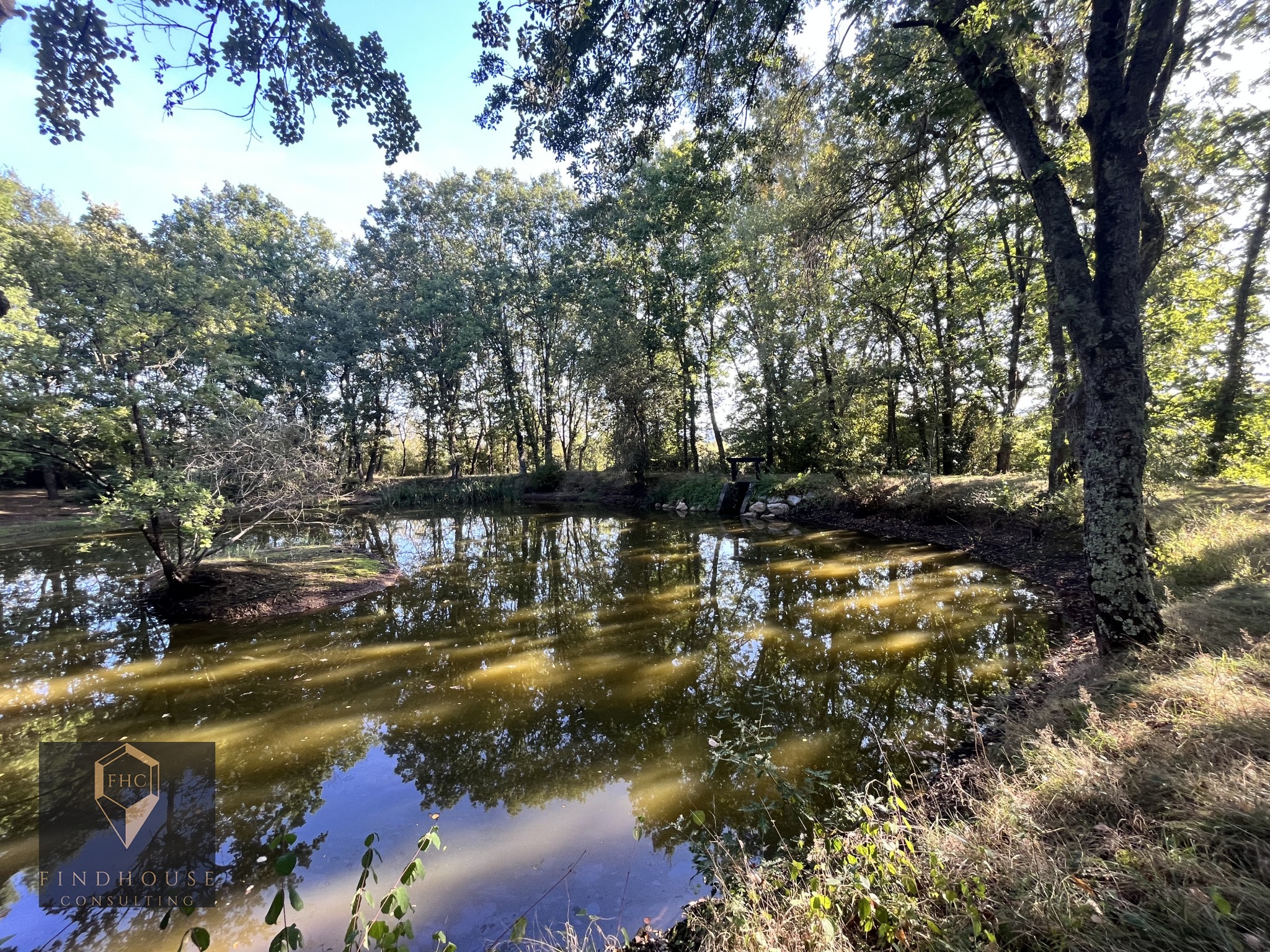 Vente Maison à l'Isle-en-Dodon 5 pièces