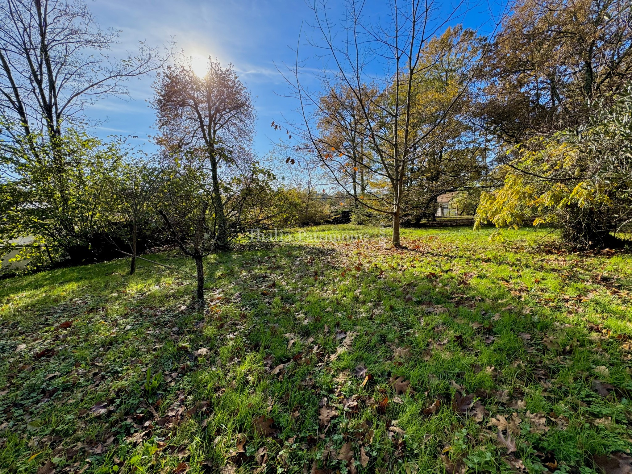 Vente Terrain à Camblanes-et-Meynac 0 pièce