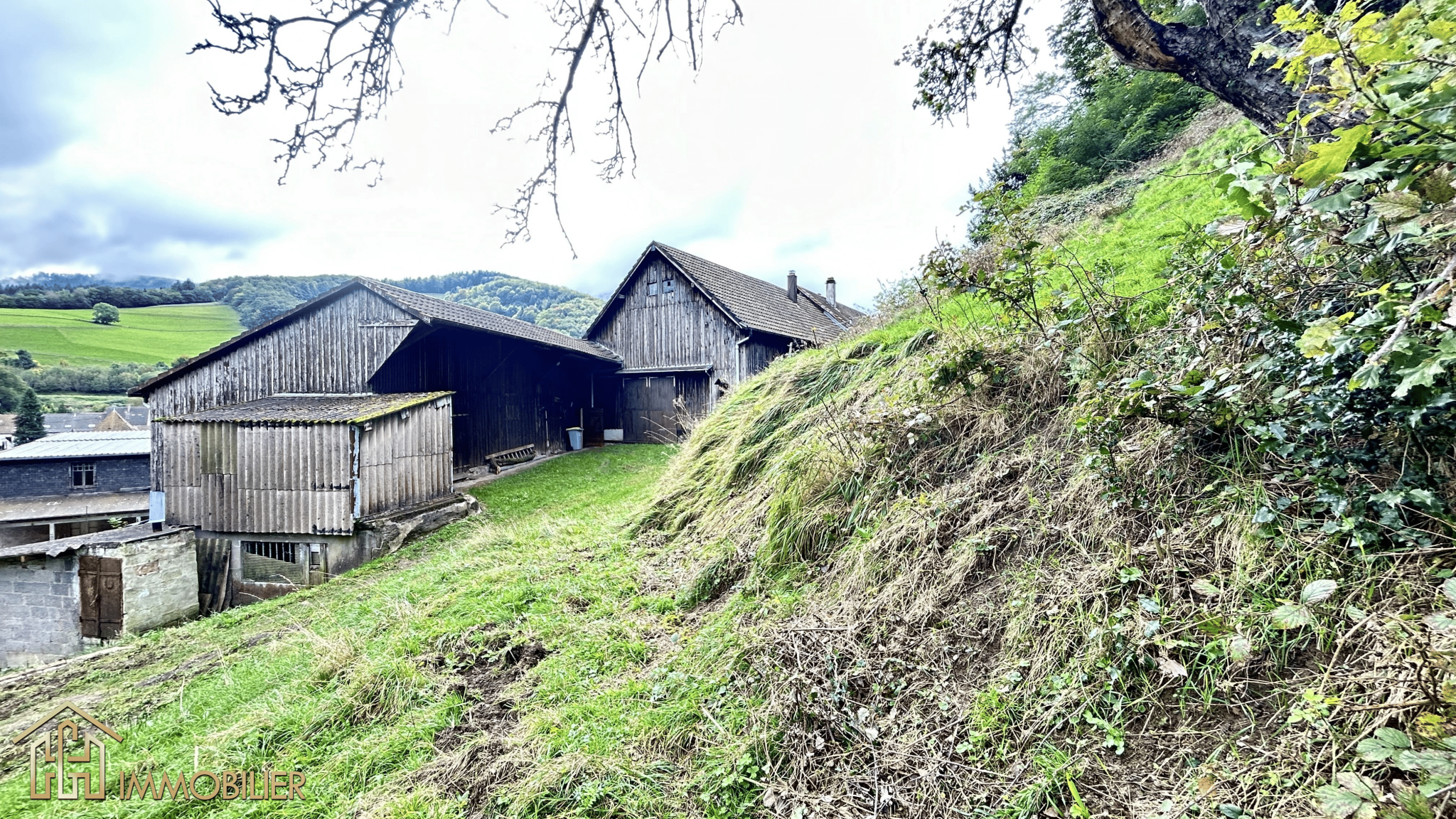 Vente Maison à Sainte-Marie-aux-Mines 8 pièces