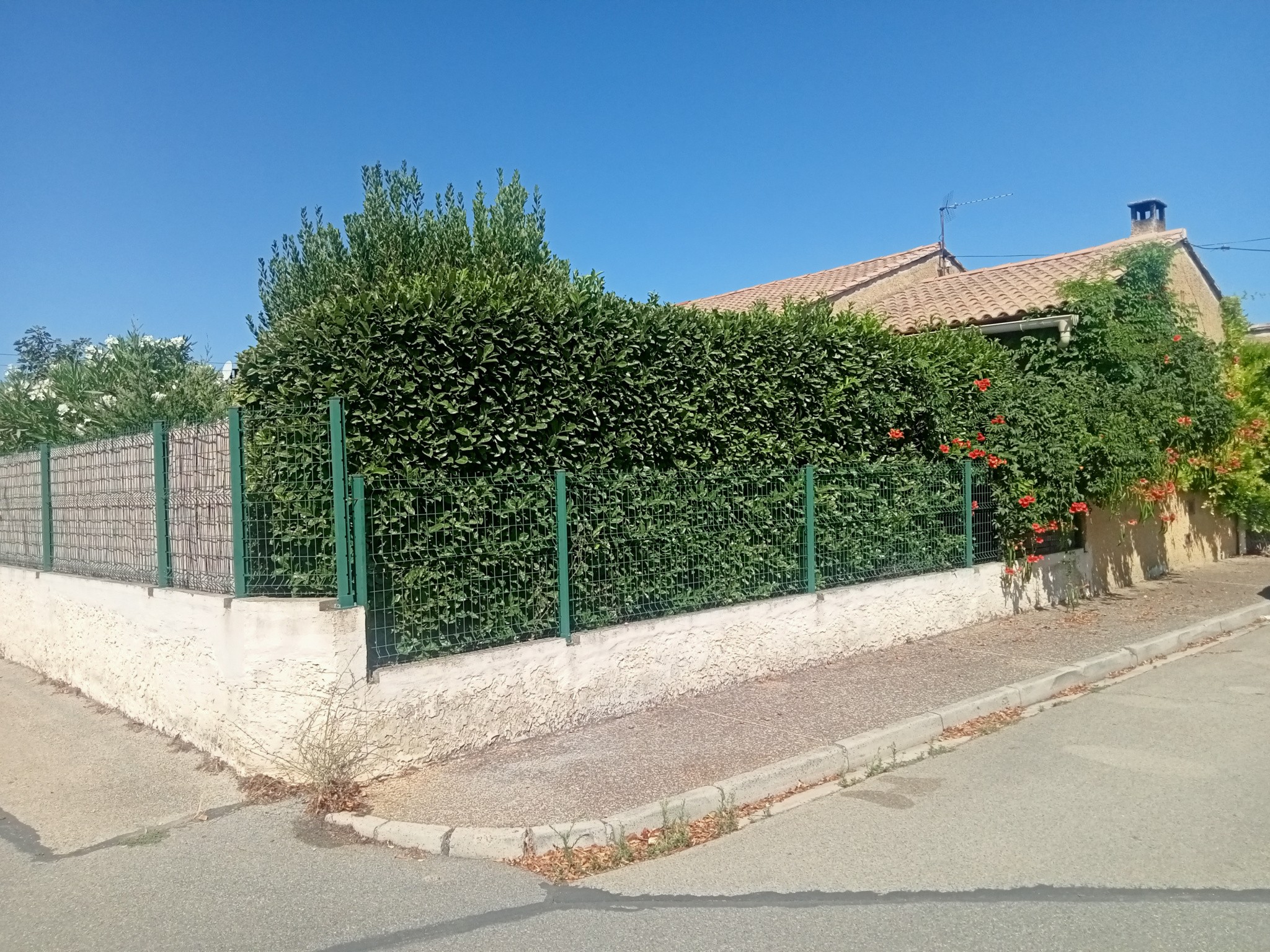 Vente Appartement à Carpentras 1 pièce