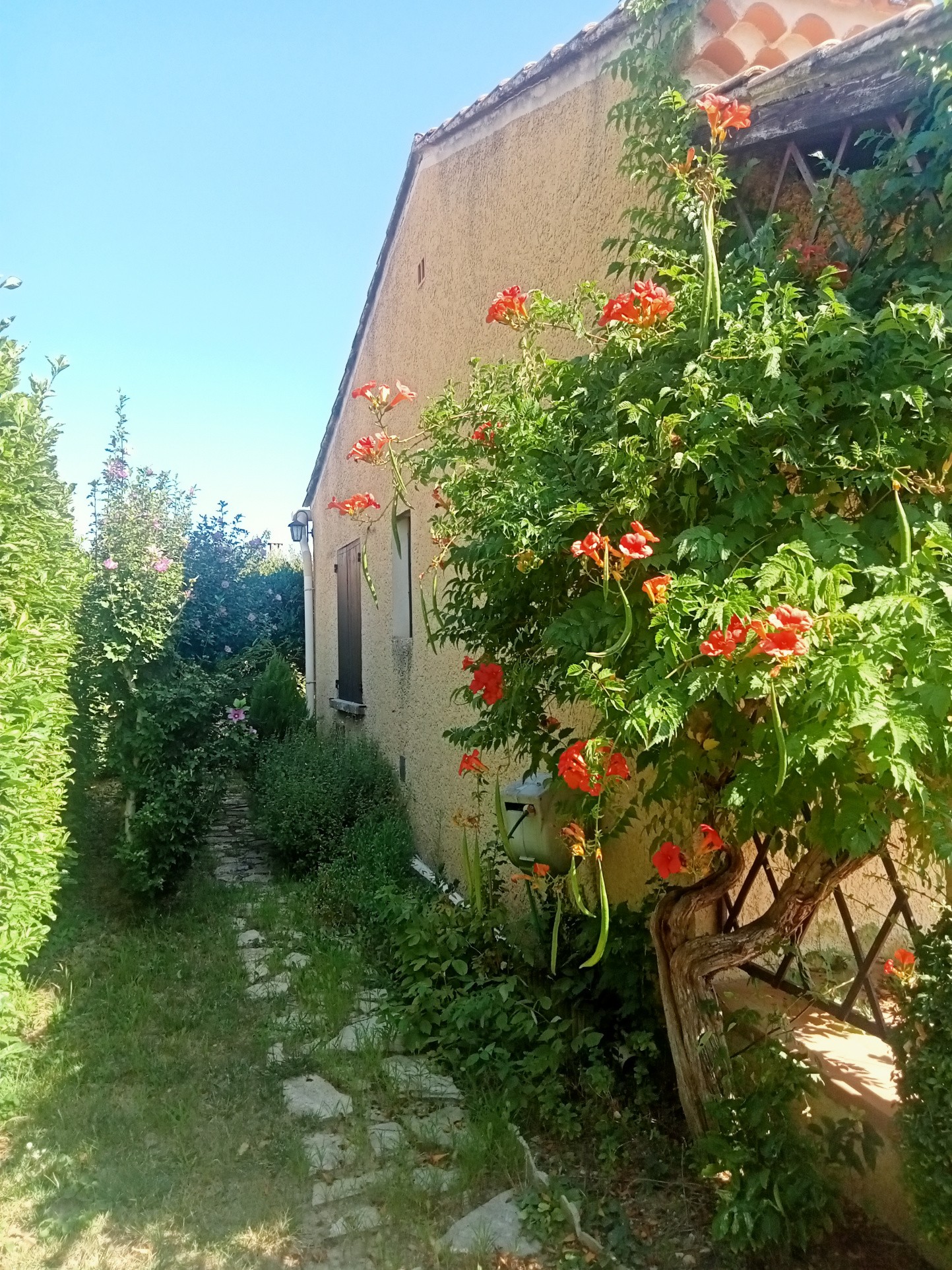 Vente Appartement à Carpentras 1 pièce