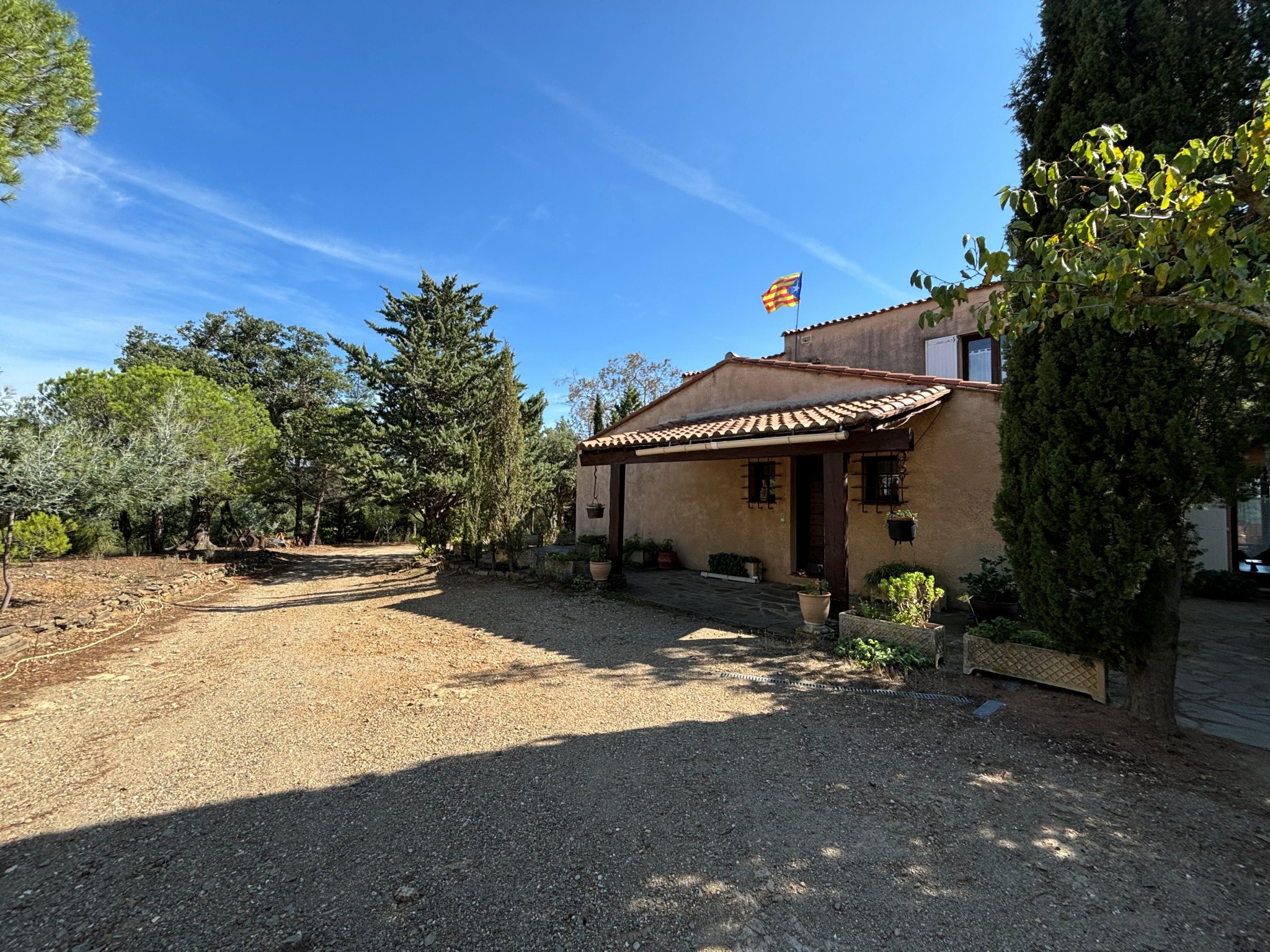 Vente Maison à Montauriol 10 pièces