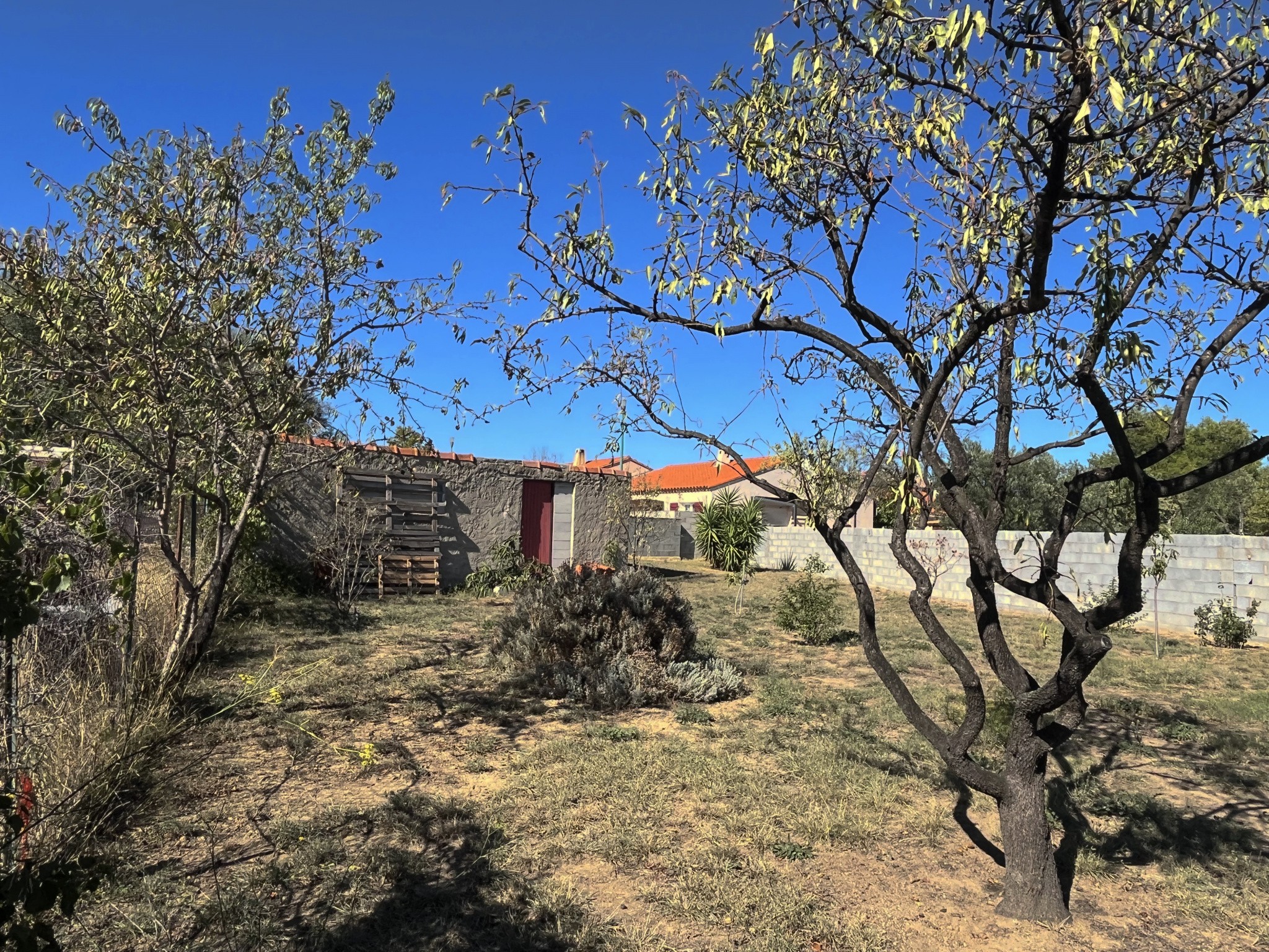 Vente Terrain à le Boulou 0 pièce