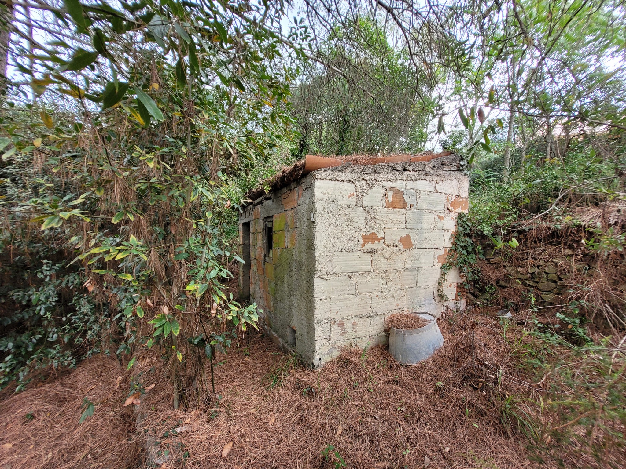 Vente Maison à Amélie-les-Bains-Palalda 3 pièces