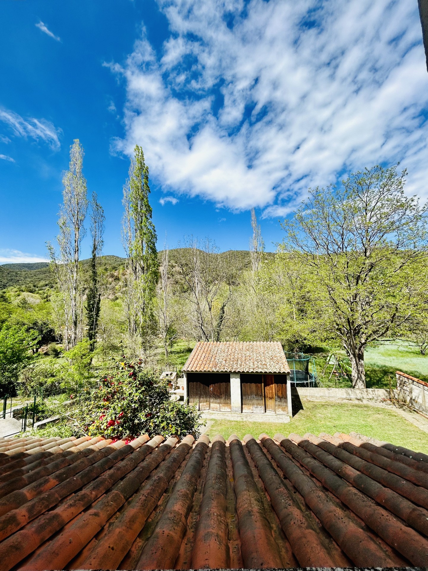 Vente Maison à Arles-sur-Tech 6 pièces