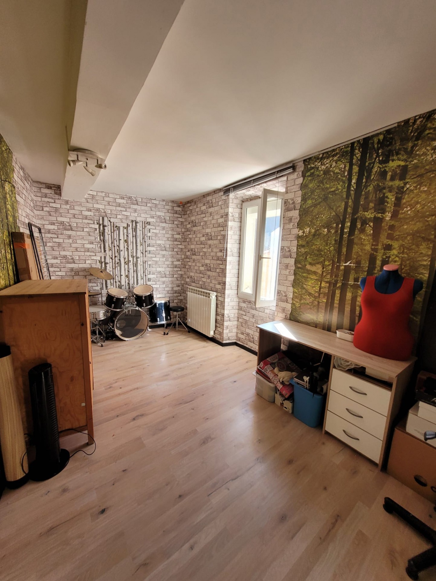 Vente Maison à Arles-sur-Tech 7 pièces