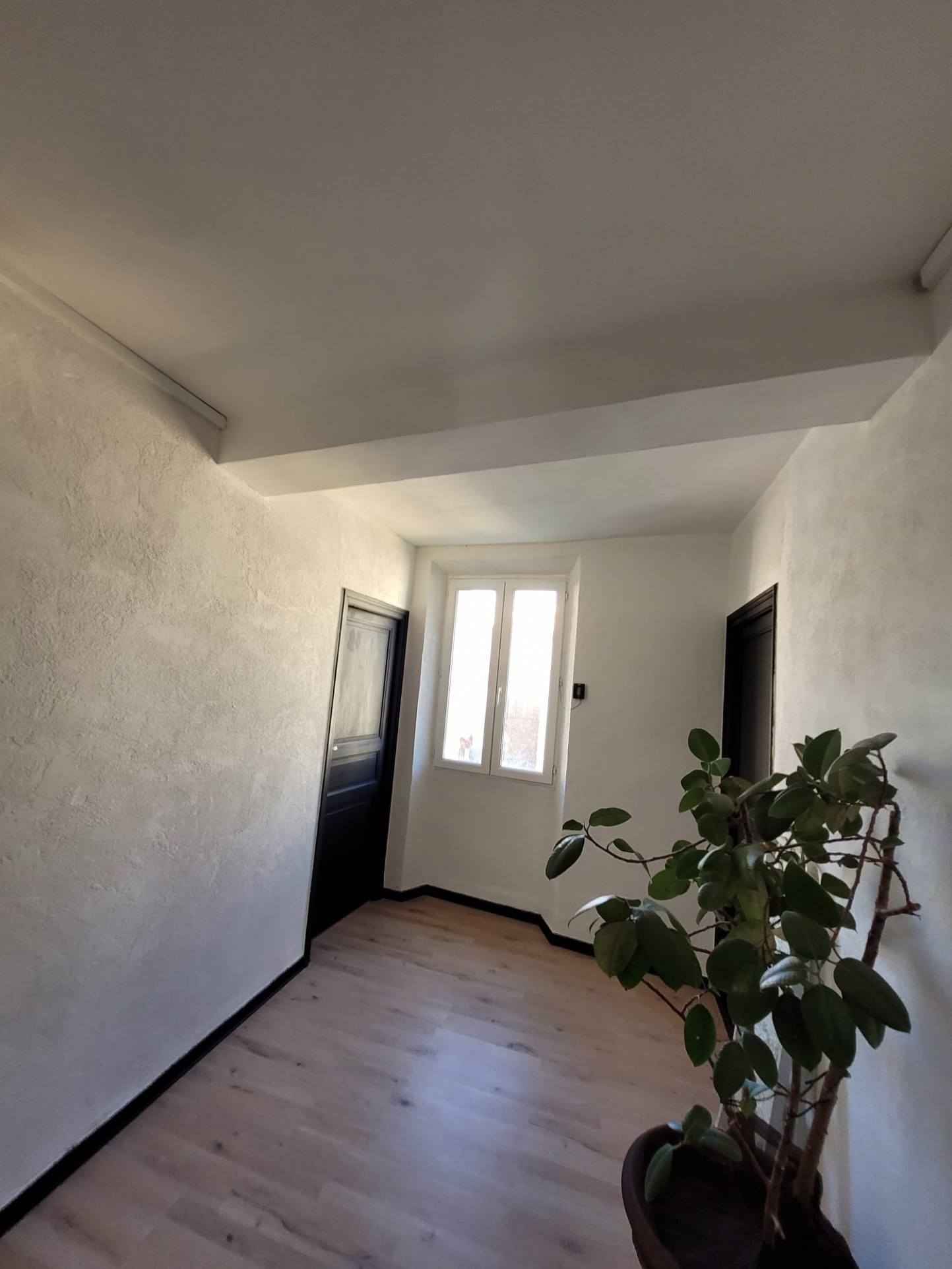 Vente Maison à Arles-sur-Tech 7 pièces