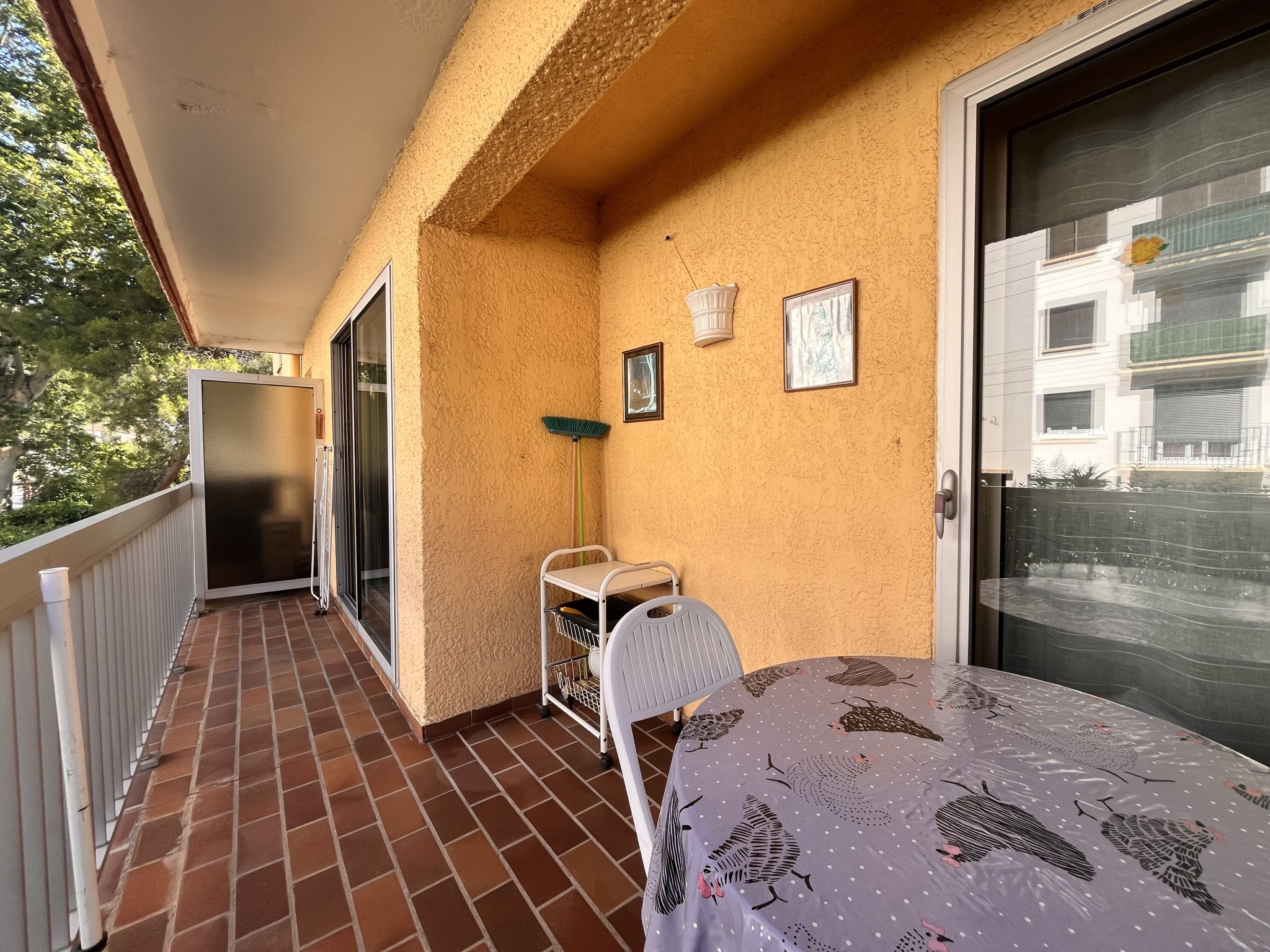 Vente Appartement à Amélie-les-Bains-Palalda 1 pièce