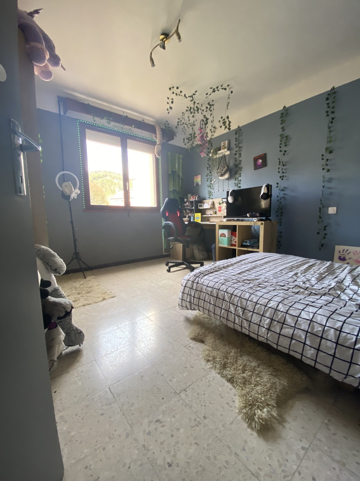 Vente Maison à Arles-sur-Tech 5 pièces