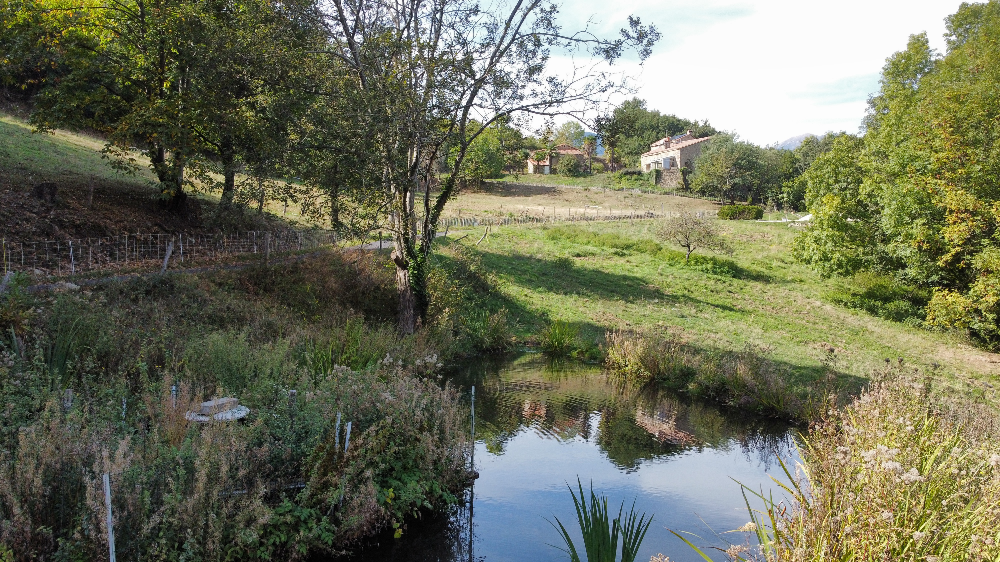 Vente Maison à Arles-sur-Tech 10 pièces