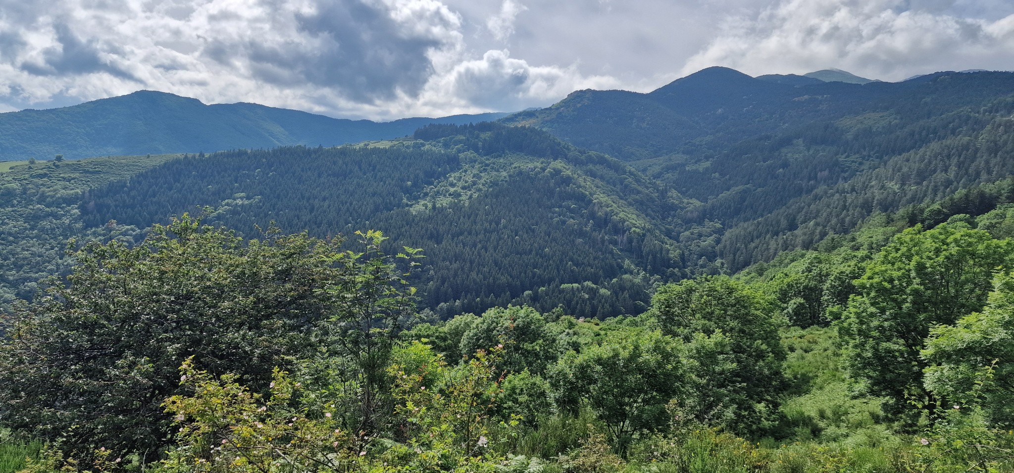 Vente Maison à Montferrer 2 pièces