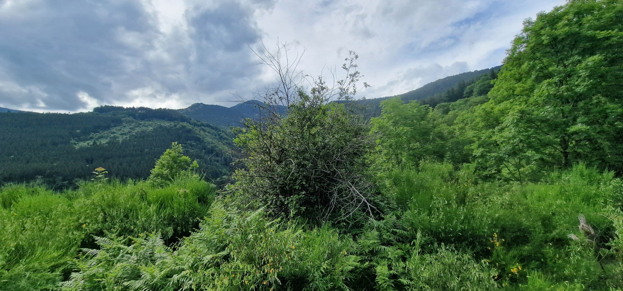 Vente Maison à Montferrer 2 pièces