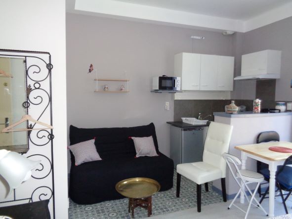 Vente Appartement à Amélie-les-Bains-Palalda 1 pièce