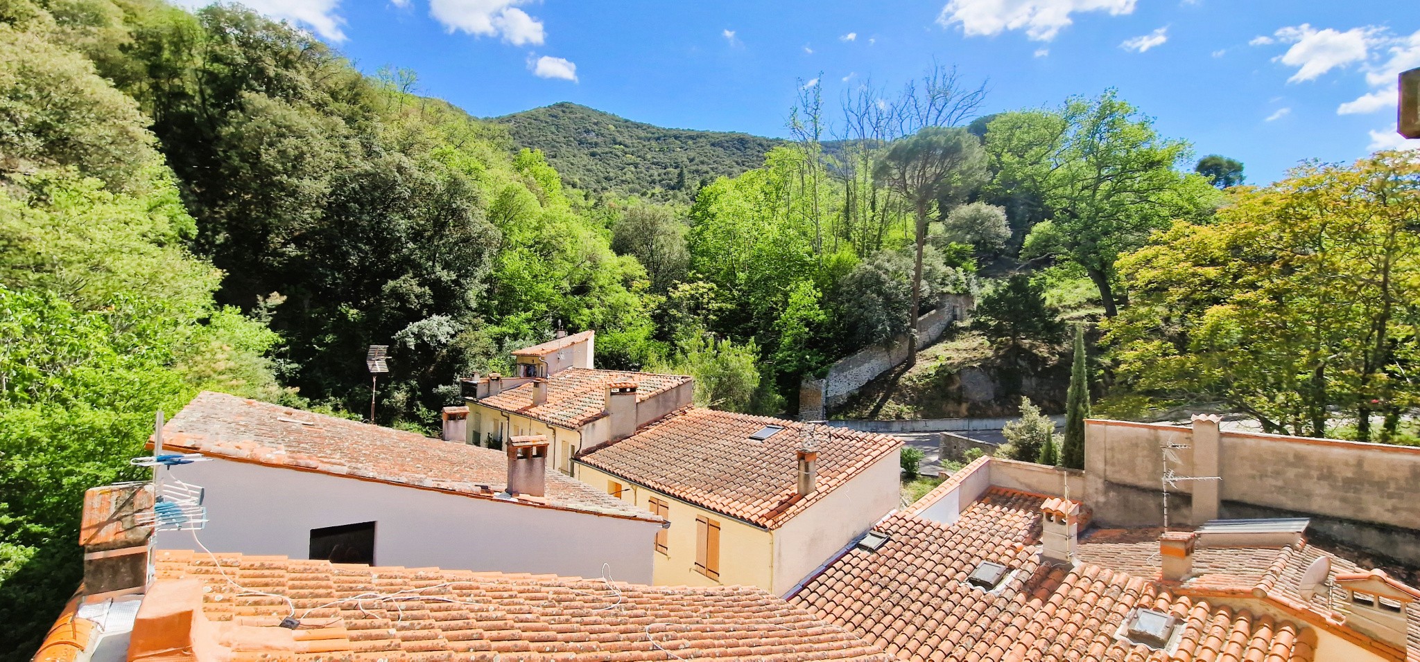 Vente Appartement à Amélie-les-Bains-Palalda 1 pièce