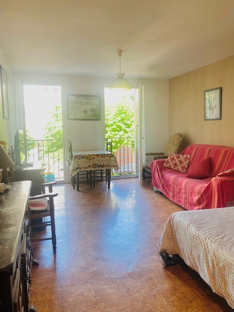 Vente Appartement à Amélie-les-Bains-Palalda 1 pièce