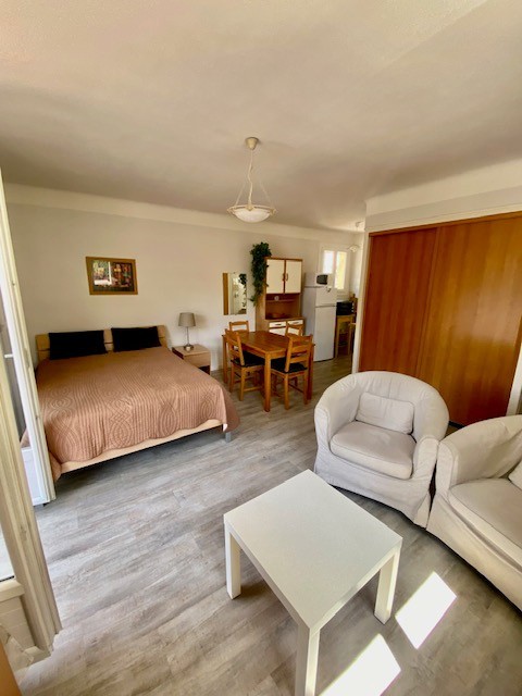 Vente Appartement à Amélie-les-Bains-Palalda 1 pièce