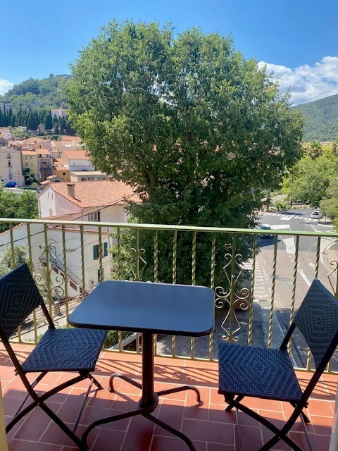 Vente Appartement à Amélie-les-Bains-Palalda 1 pièce