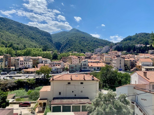 Vente Appartement à Amélie-les-Bains-Palalda 1 pièce