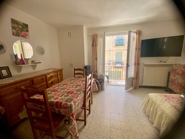 Vente Appartement à Amélie-les-Bains-Palalda 1 pièce