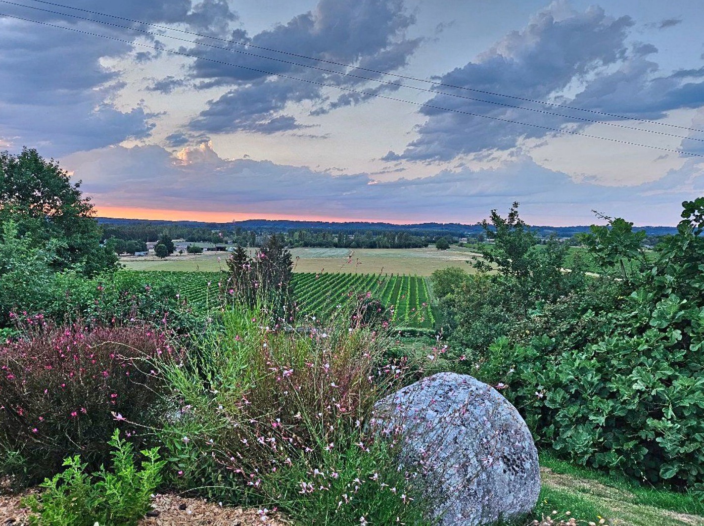 Vente Maison à Saint-Émilion 8 pièces