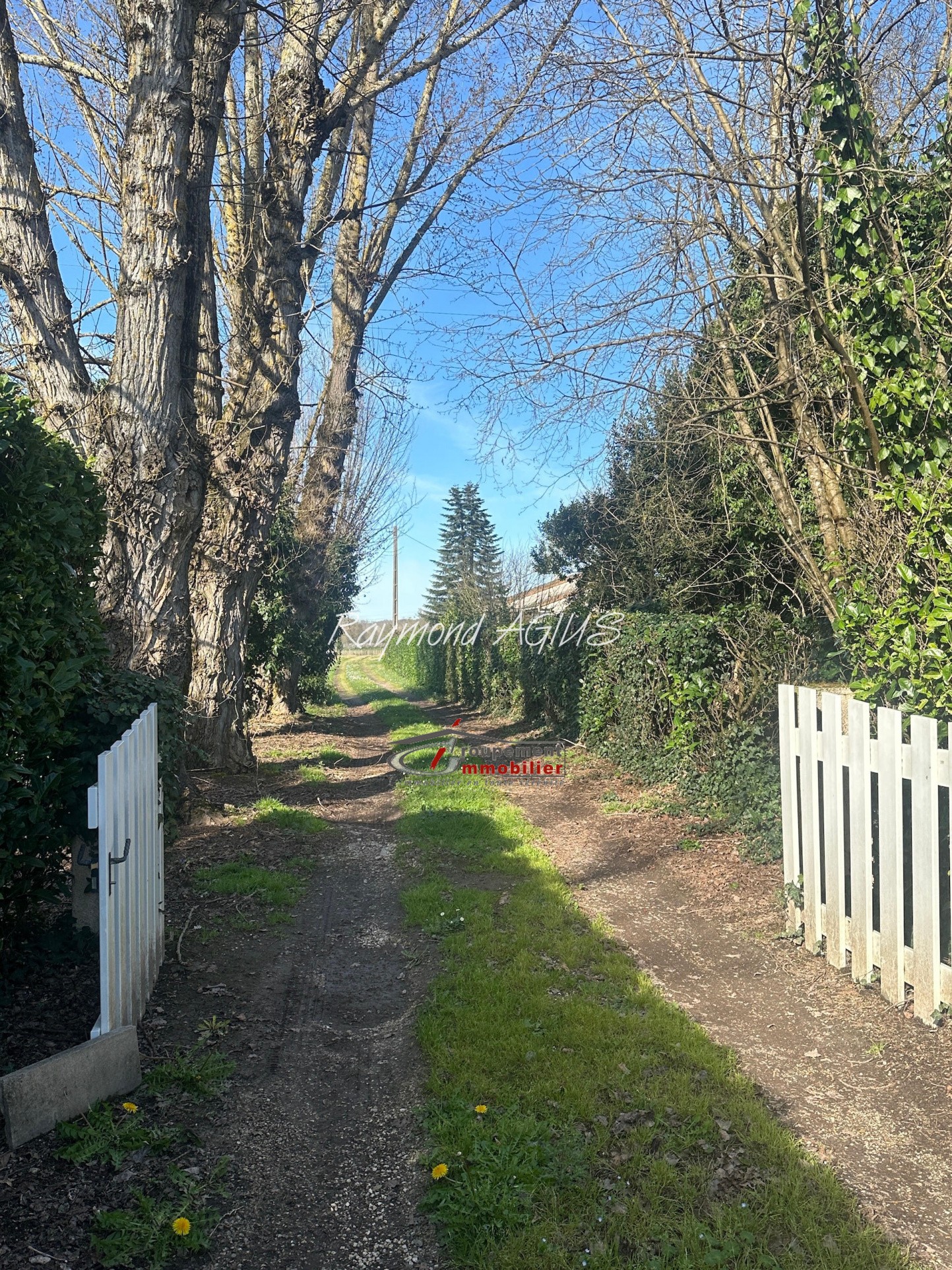 Vente Maison à Saint-Seurin-de-Prats 9 pièces