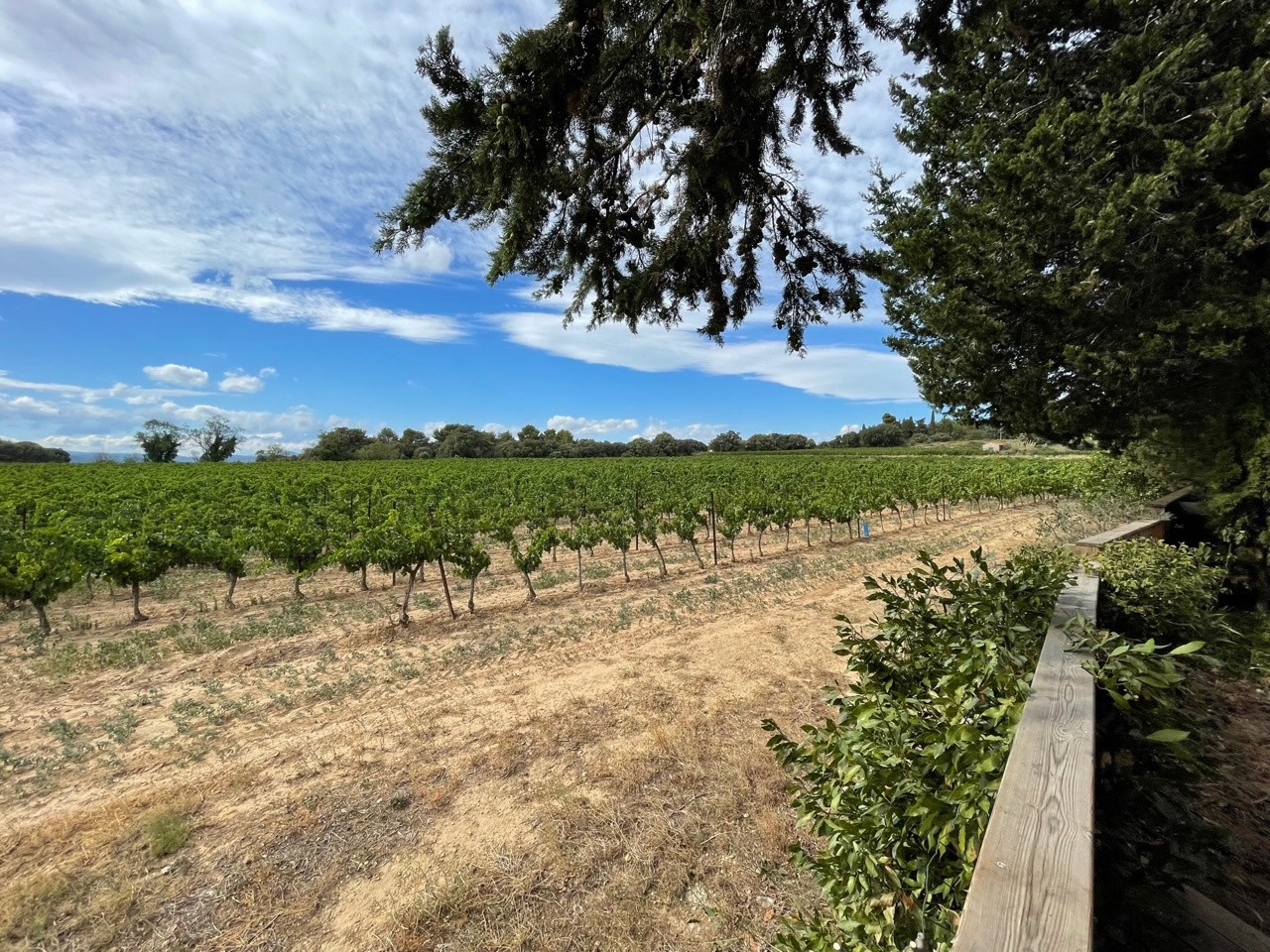 Vente Maison à Saint-Pons-de-Mauchiens 14 pièces