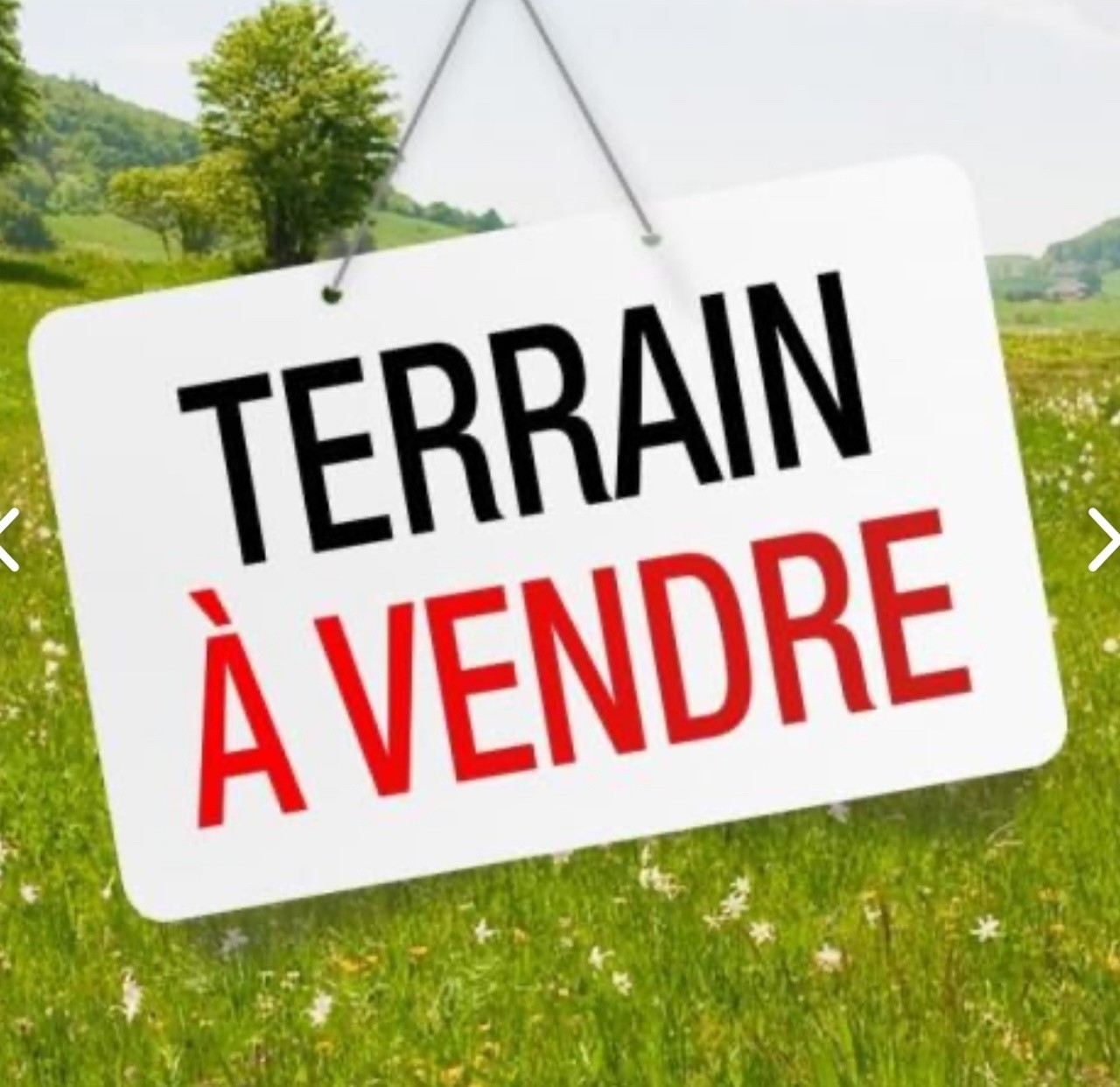 Vente Terrain à Canet 0 pièce