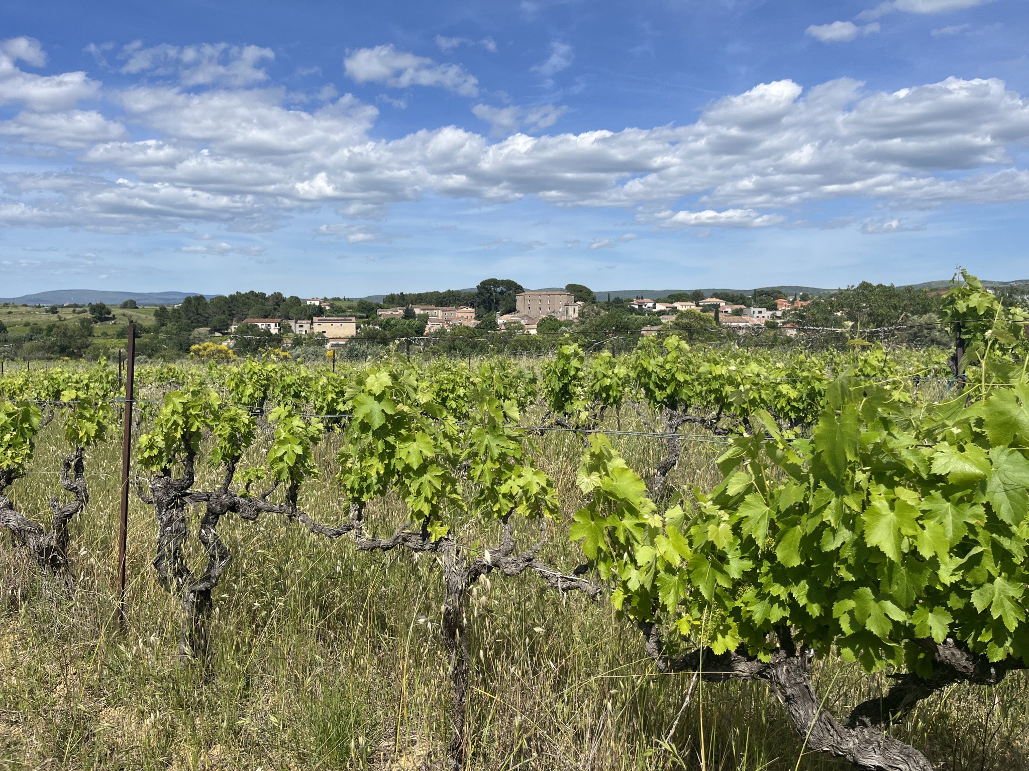 Vente Terrain à Gignac 0 pièce