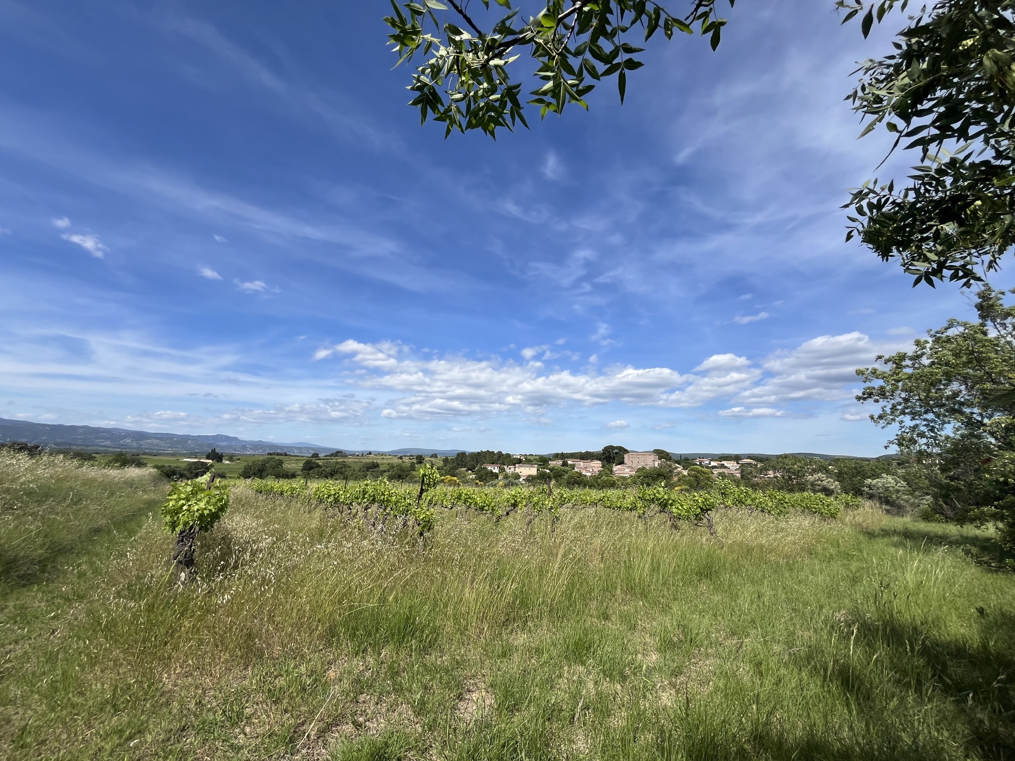 Vente Terrain à Gignac 0 pièce