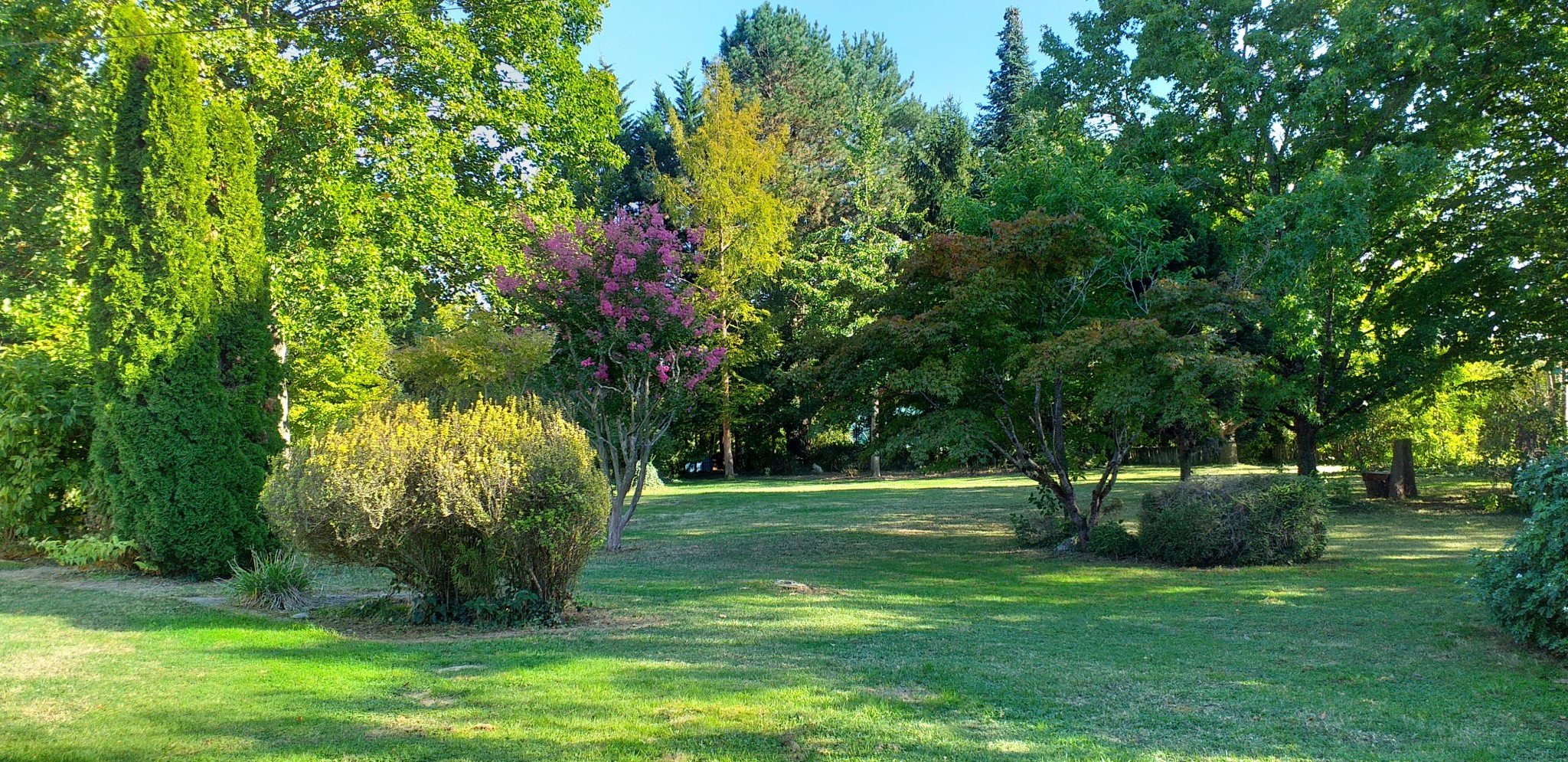 Vente Maison à Saint-Nicolas-de-la-Grave 10 pièces