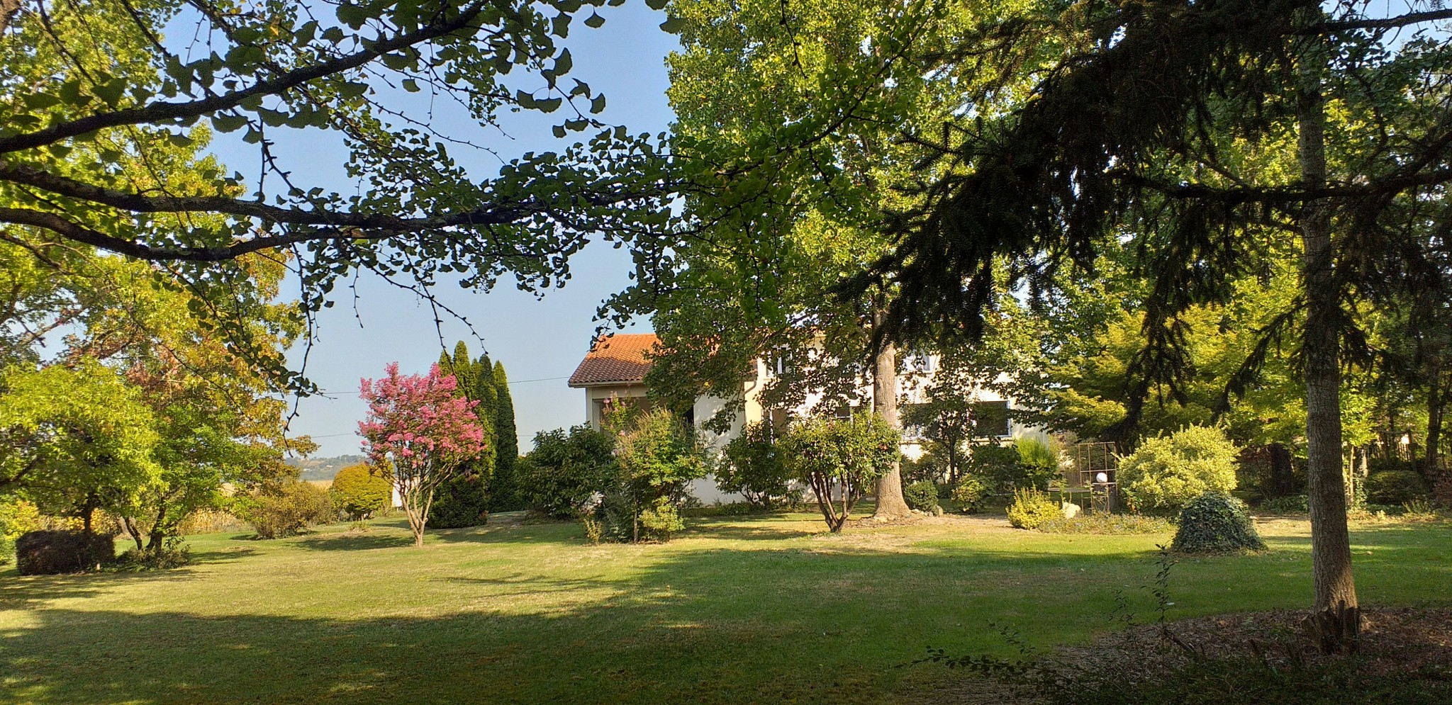 Vente Maison à Saint-Nicolas-de-la-Grave 10 pièces