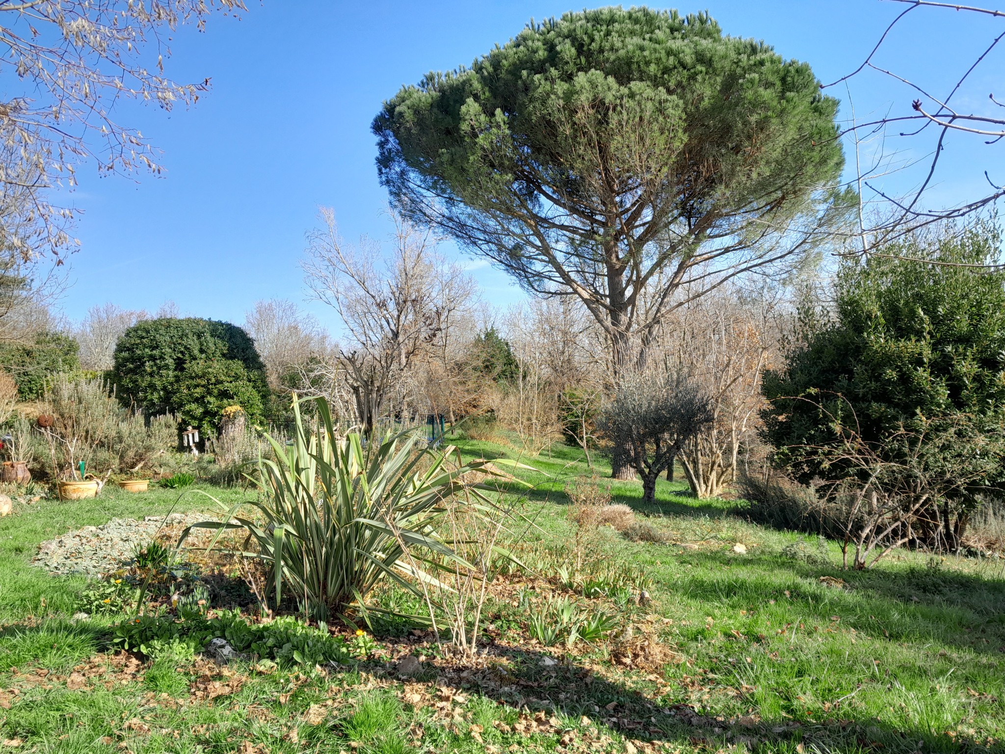 Vente Maison à Moissac 6 pièces