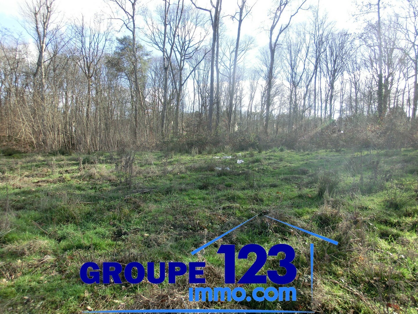 Vente Terrain à Appoigny 0 pièce