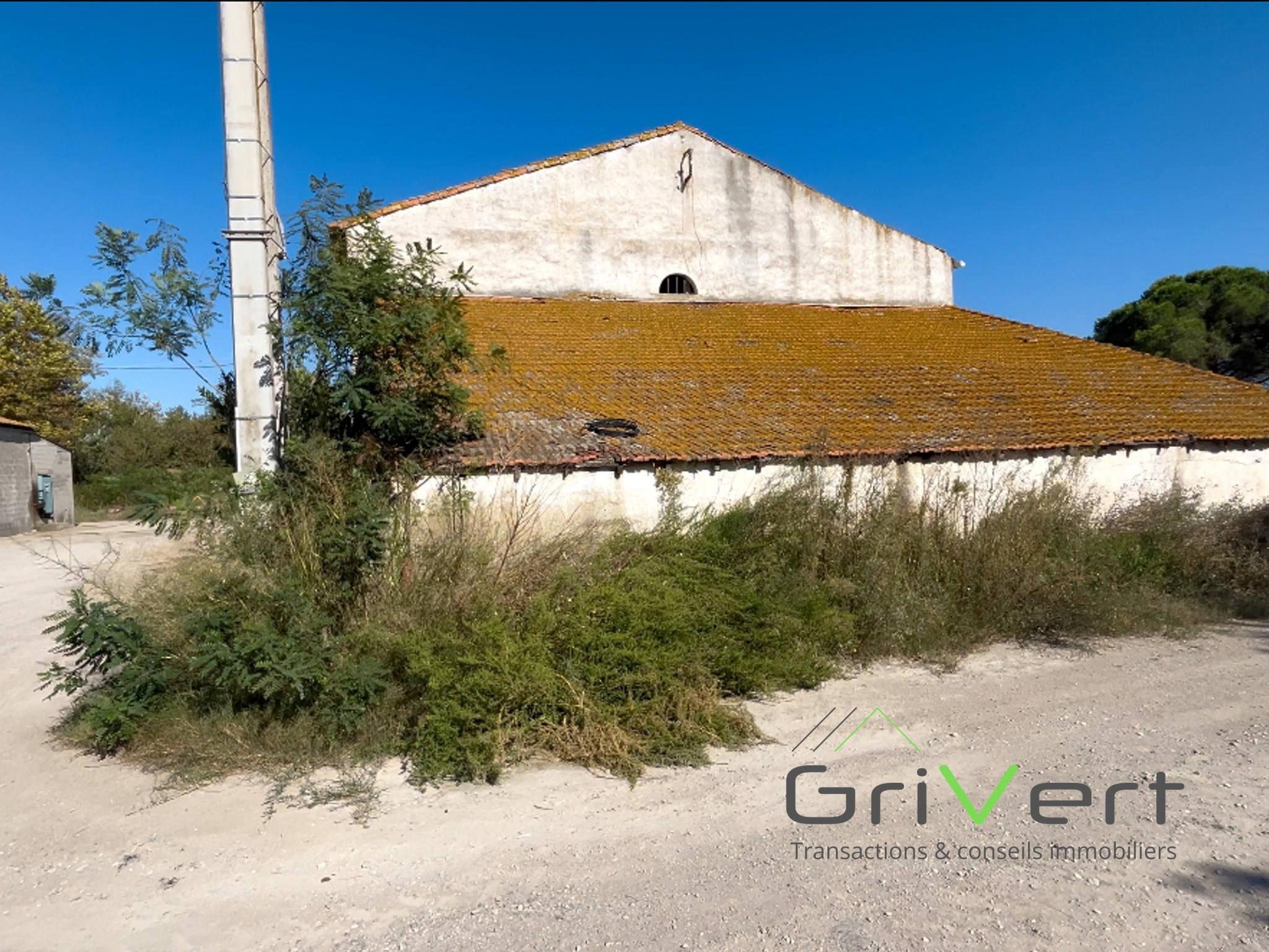 Vente Maison à Saintes-Maries-de-la-Mer 8 pièces