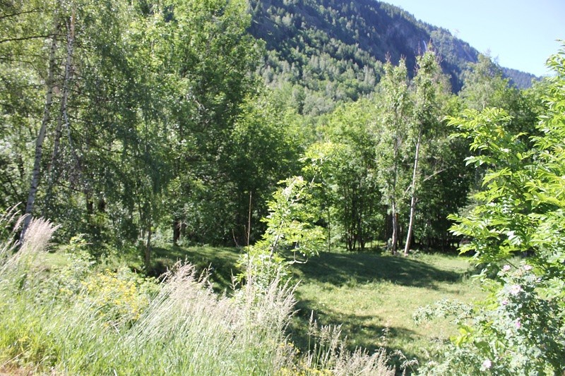 Vente Terrain à Vaujany 0 pièce