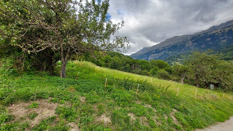 Vente Terrain à Vaujany 0 pièce