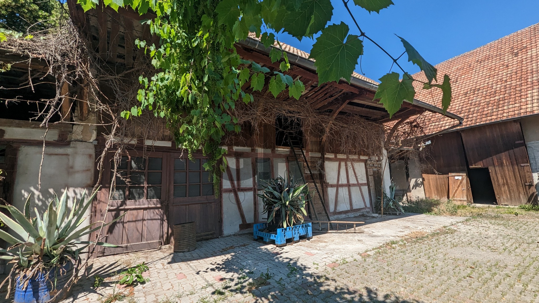 Vente Maison à Jebsheim 10 pièces