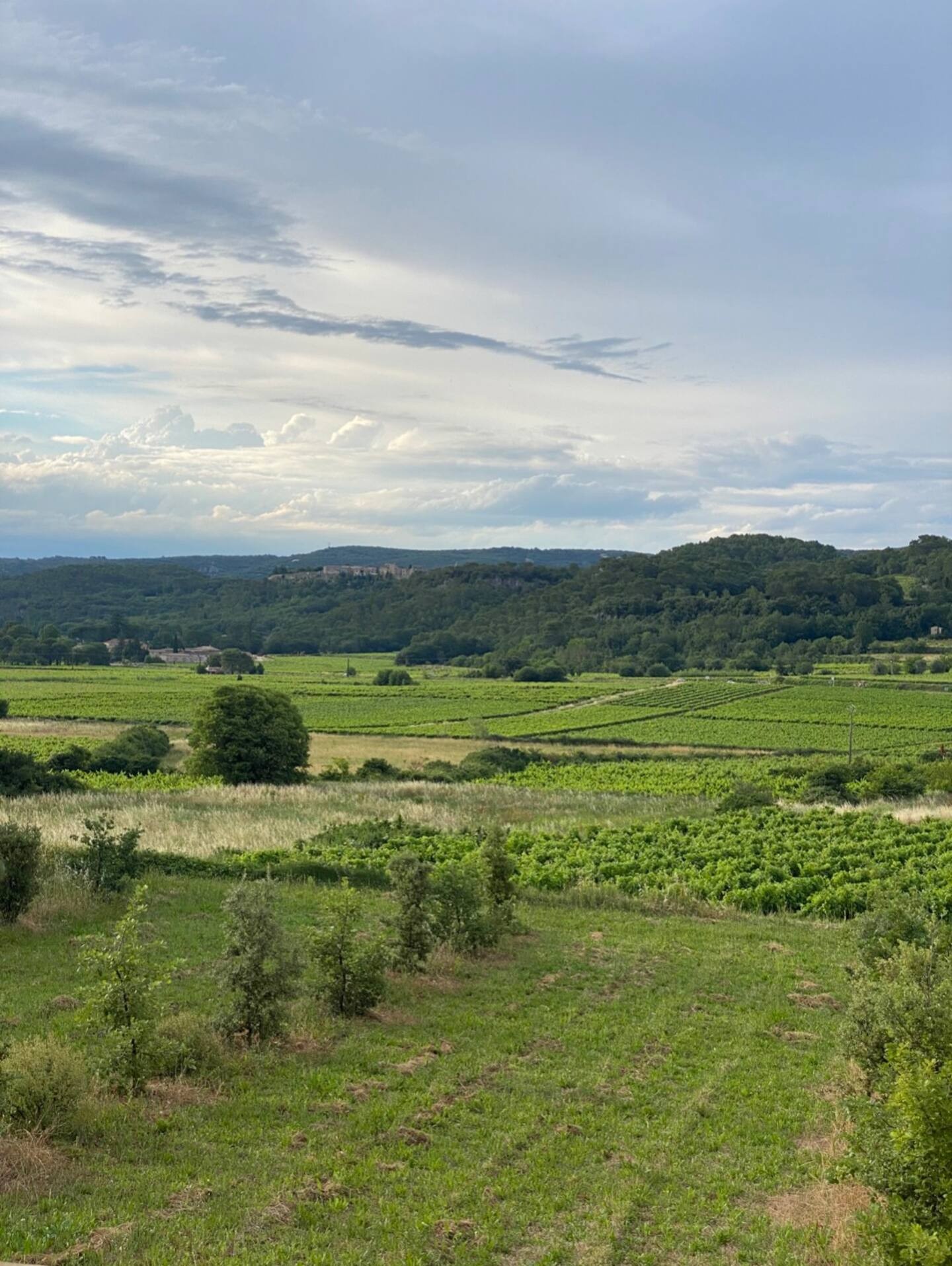 Vente Maison à Goudargues 5 pièces