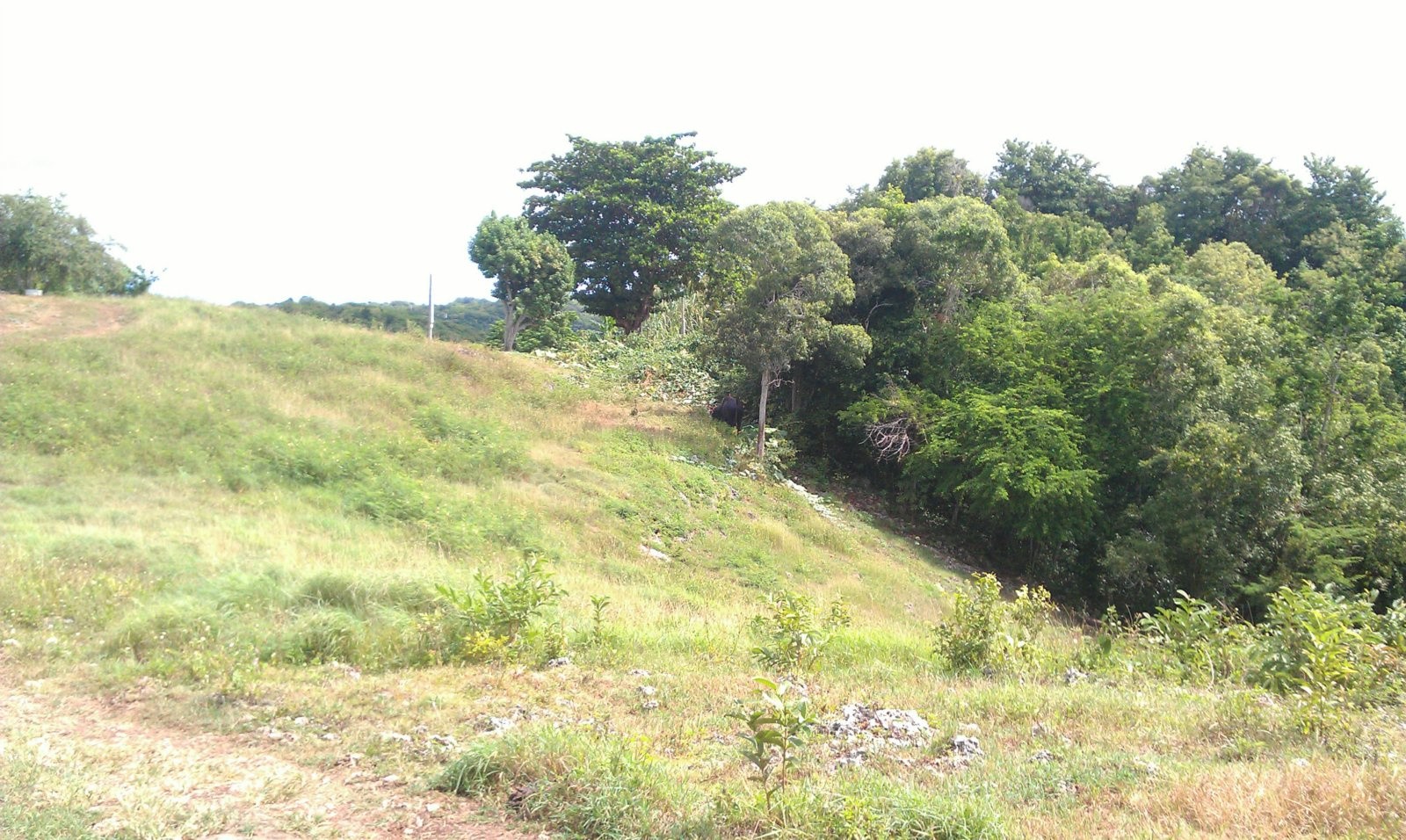 Vente Terrain à les Abymes 0 pièce