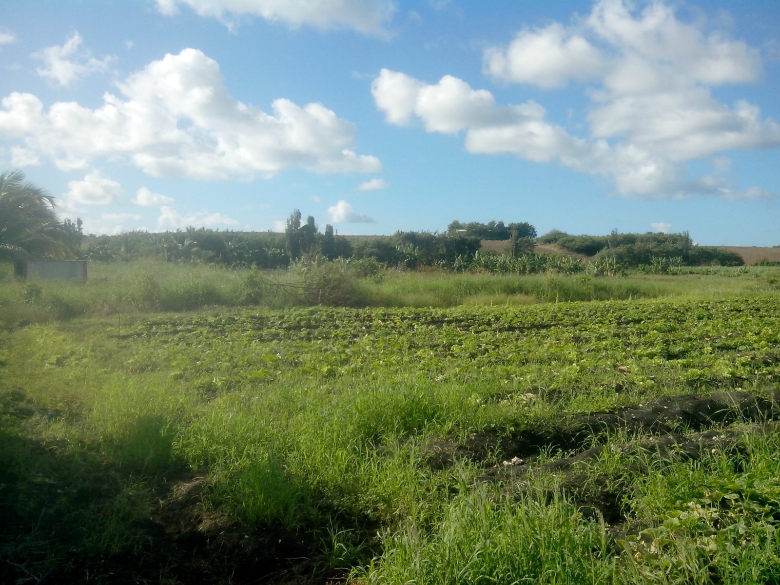 Vente Terrain à Saint-François 0 pièce