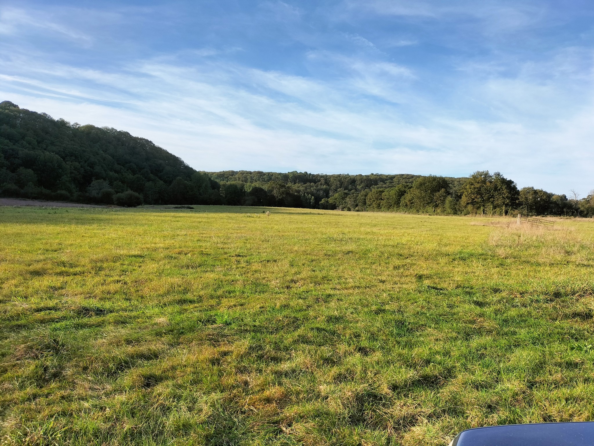 Vente Maison à Saint-Jean-sur-Mayenne 3 pièces