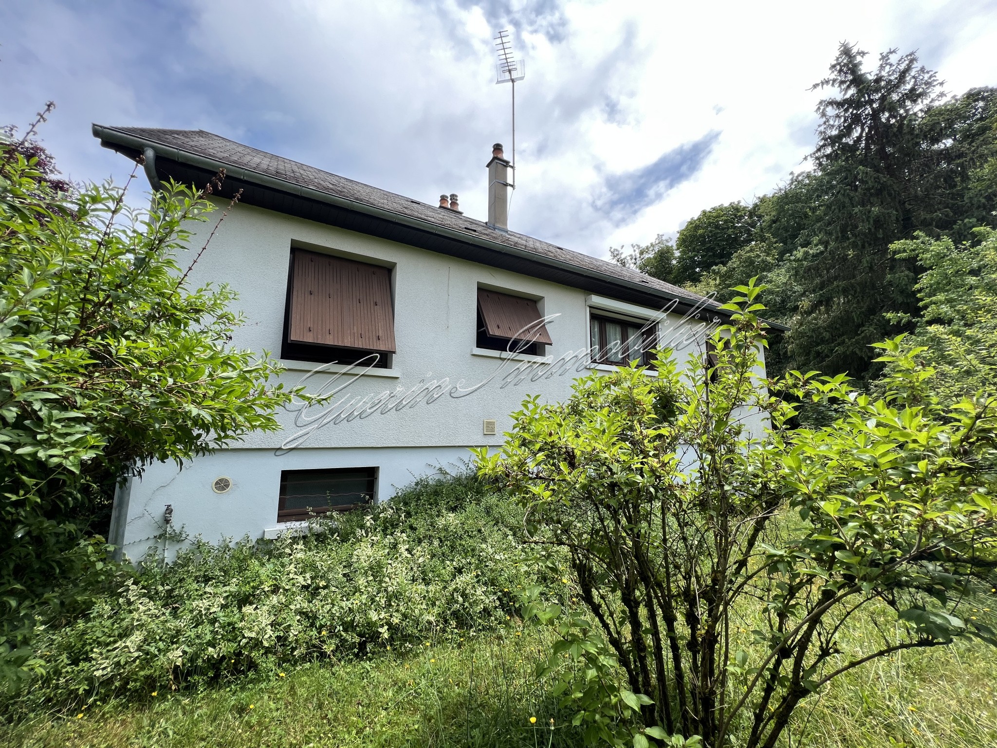 Vente Maison à la Guerche-sur-l'Aubois 7 pièces