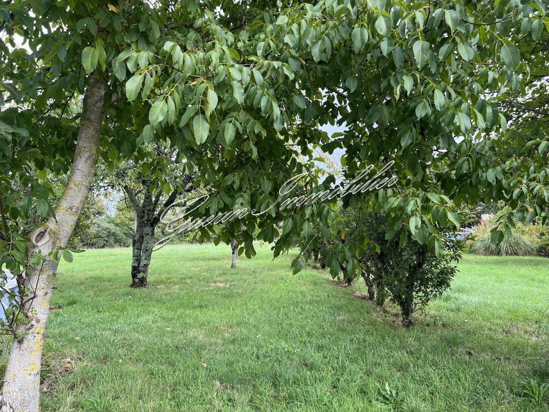 Vente Maison à Germigny-l'Exempt 6 pièces