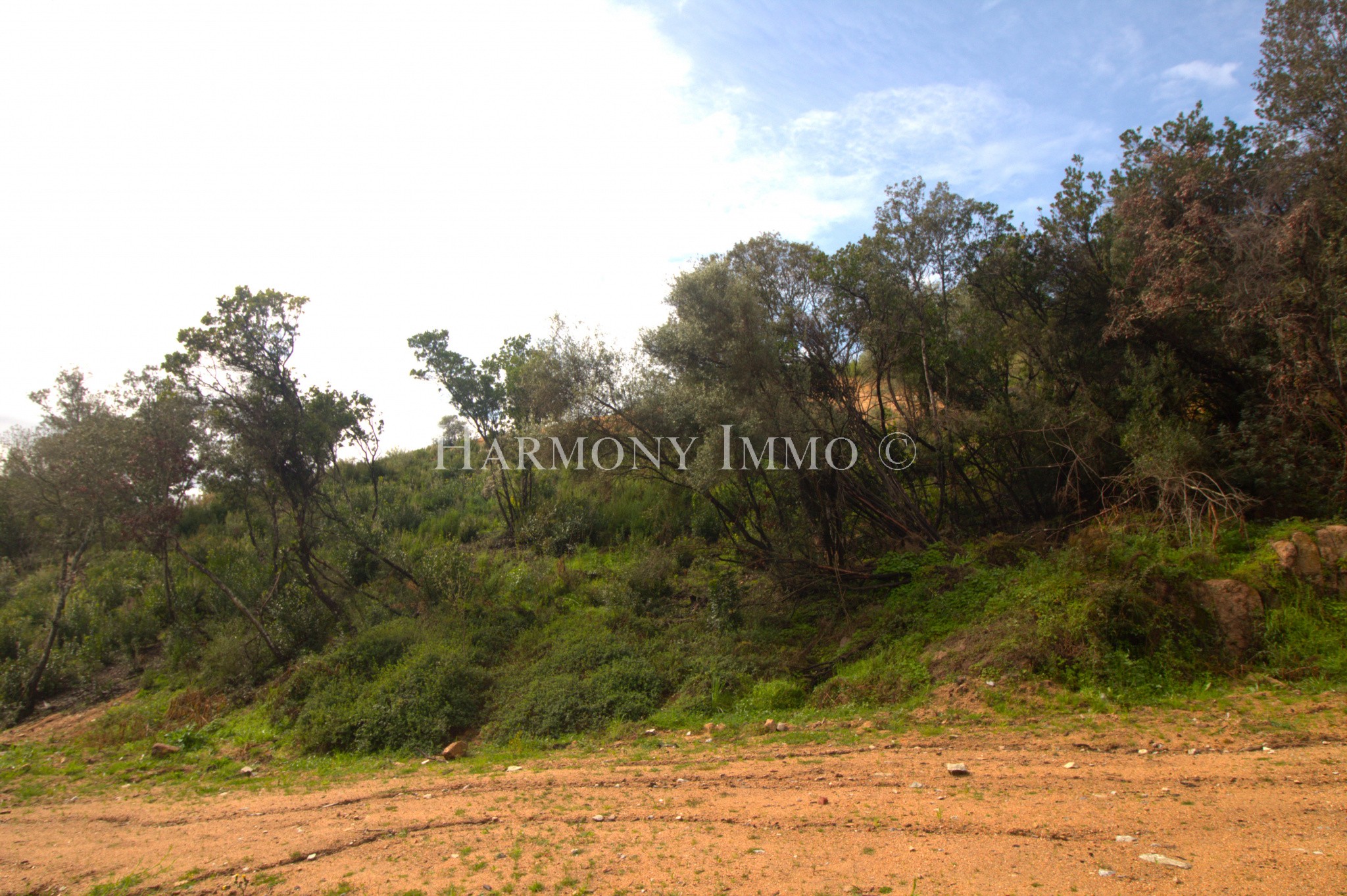 Vente Terrain à Ajaccio 0 pièce