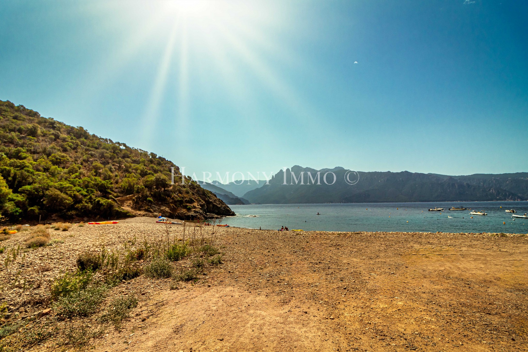 Vente Terrain à Ajaccio 0 pièce