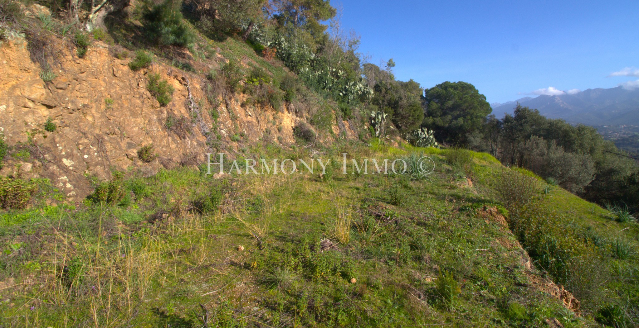 Vente Terrain à Ajaccio 0 pièce