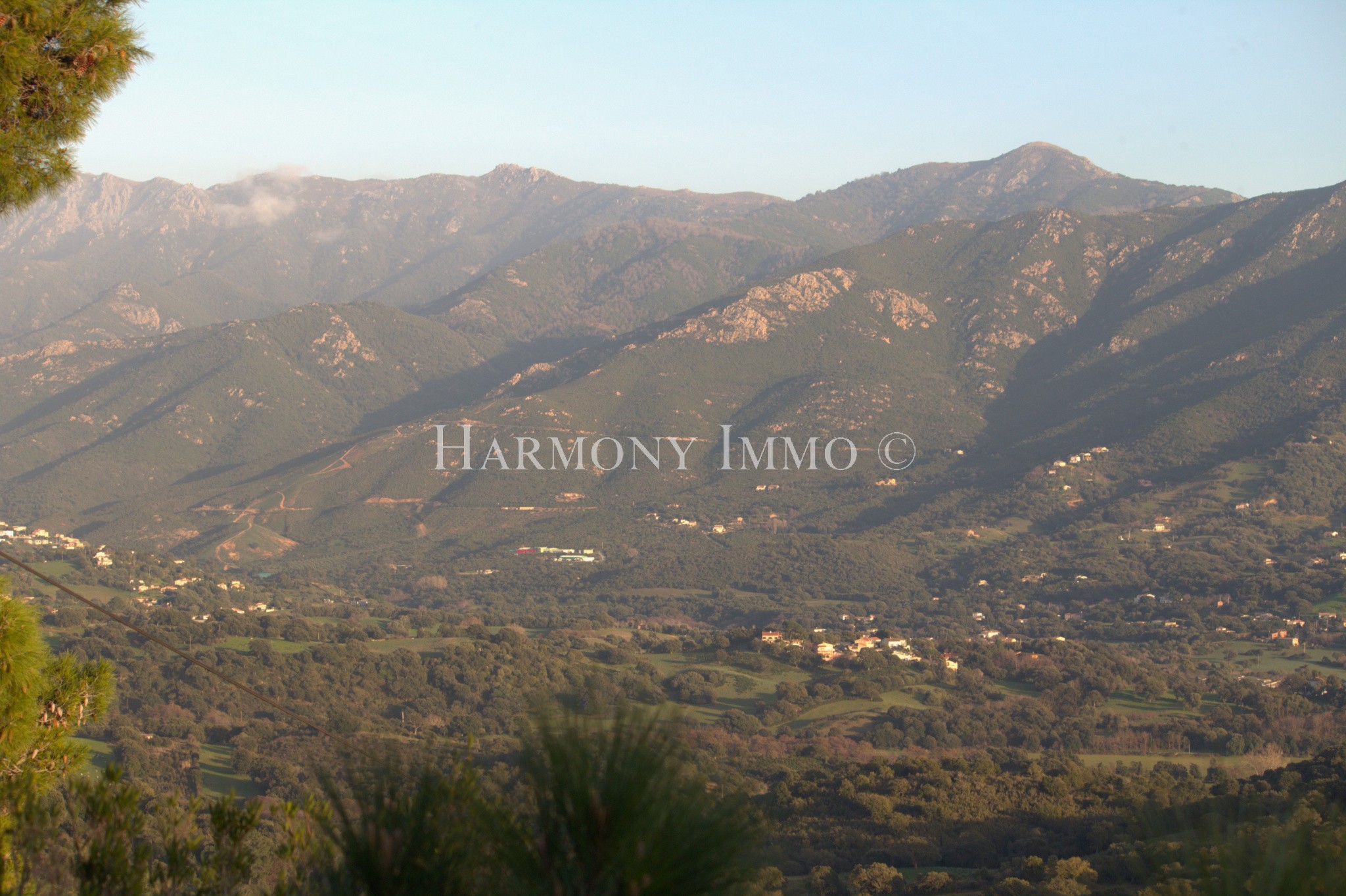 Vente Terrain à Ajaccio 0 pièce