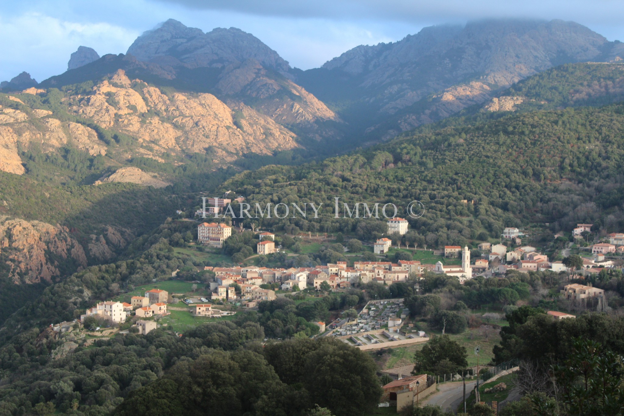 Vente Terrain à Cargèse 0 pièce